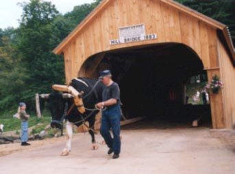 Mill Covered Bridge July 22, 2000