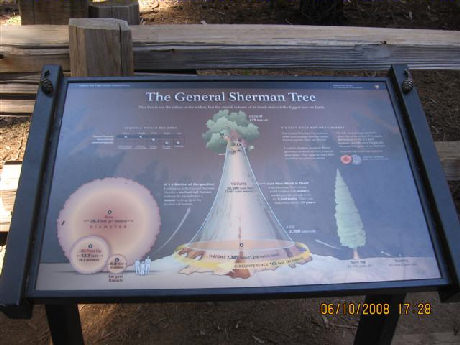 General Sherman Tree Sign