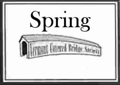Spring Newsletter icon