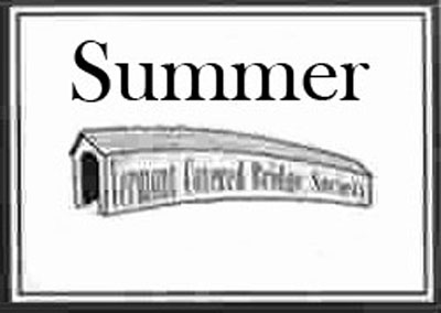 Summer Newsletter icon